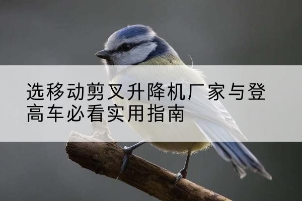 玄武电动升降机厂家-选移动剪叉升降机厂家与登高车必看实用指南