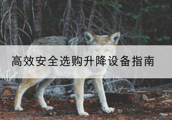 玄武升降货梯厂家推荐-*安全选购升降设备指南