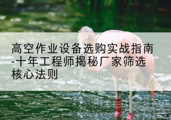 玄武剪叉式升降机厂家-高空作业设备选购实战指南-十年工程师揭秘厂家筛选核心法则